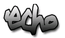 Logo des Vereins Echo