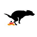 Klagsgrund: Hund kackt in schwarz-rot-gold